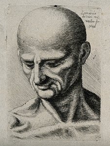 一个瘦男的半身像，俯视着他的右下角 作者 达芬奇（Leonardo da Vinci）
